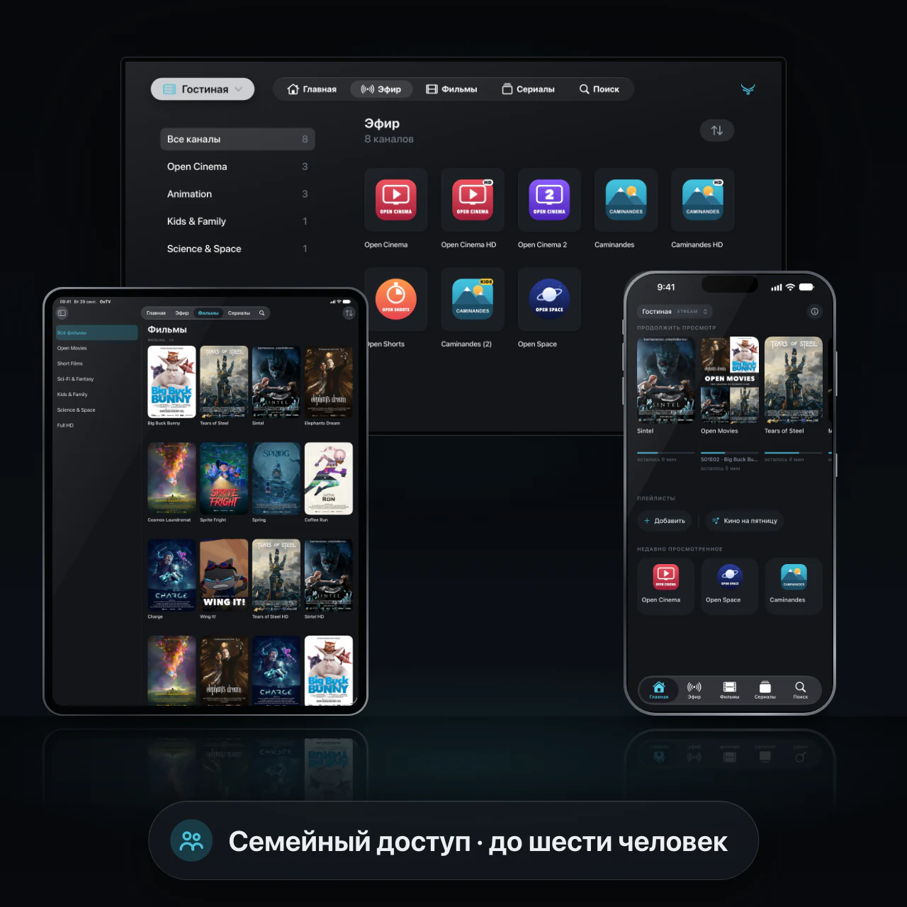 Одна подписка. Все экраны. Вся семья.